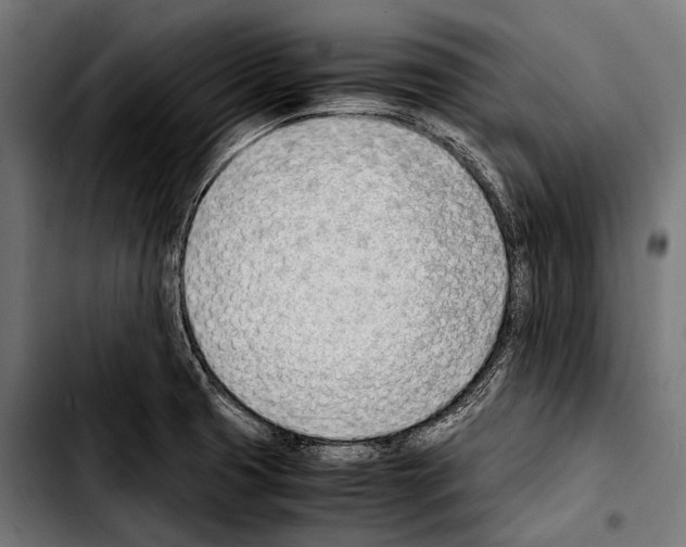 X0000103331425200810171414