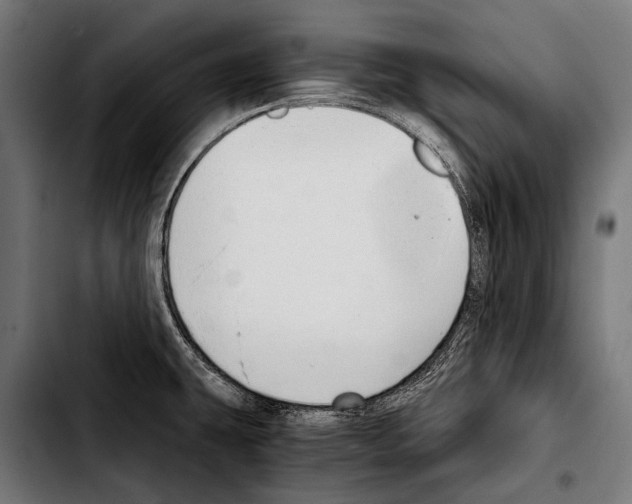 X0000103331431200810171414