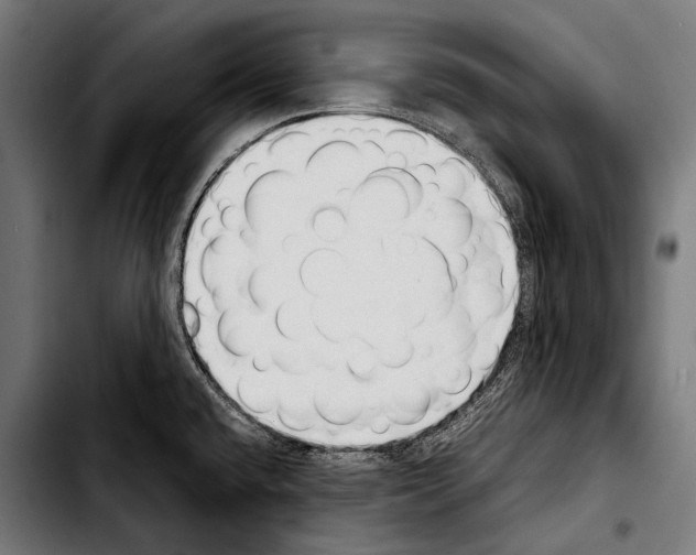 X0000103331432200810171414