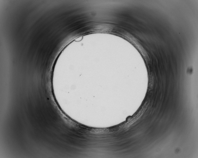 X0000103331434200810171414