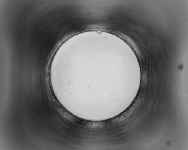 X0000103331435200810171414