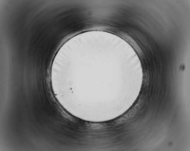 X0000103331436200810171414