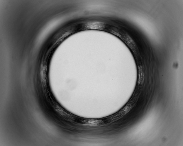 X0000103331438200810171414