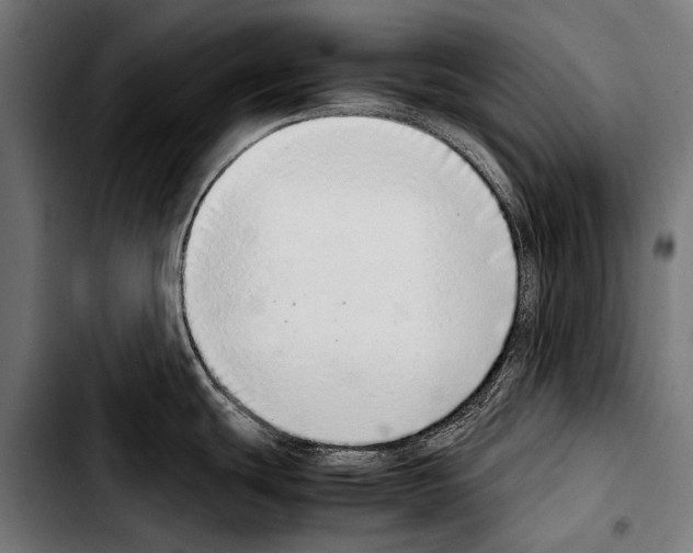 X0000103331439200810171414