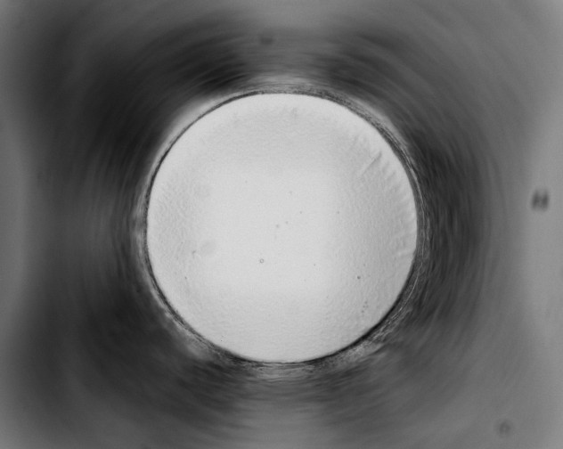 X0000103331440200810171414