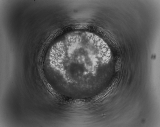 X0000103331441200810171413