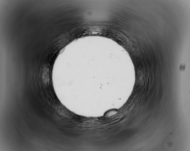 X0000103331442200810171413