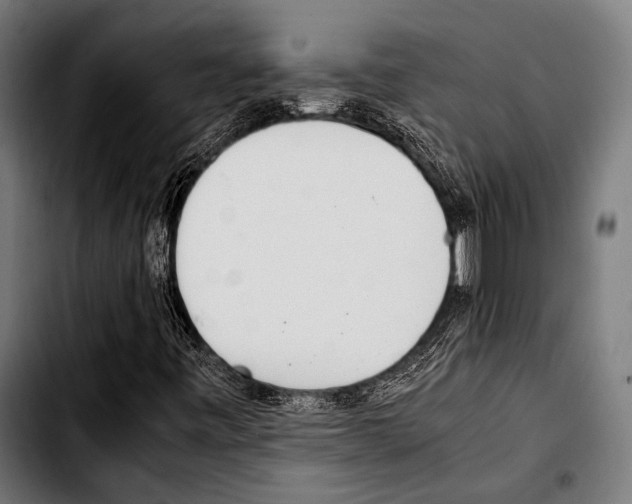 X0000103331443200810171413