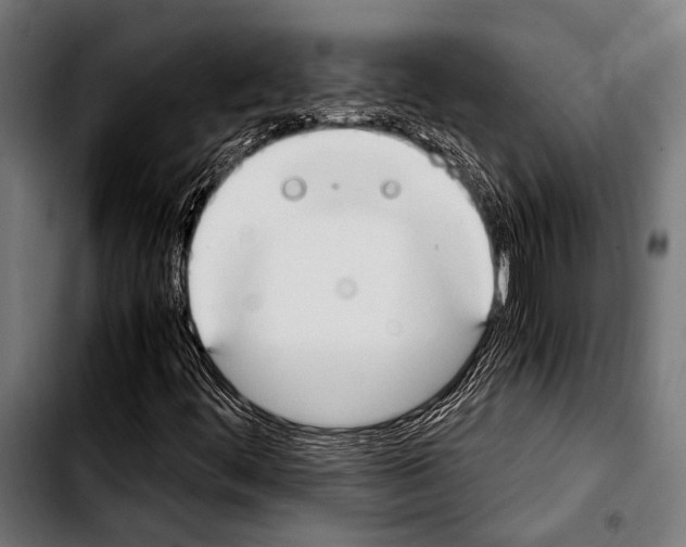 X0000103331444200810171413