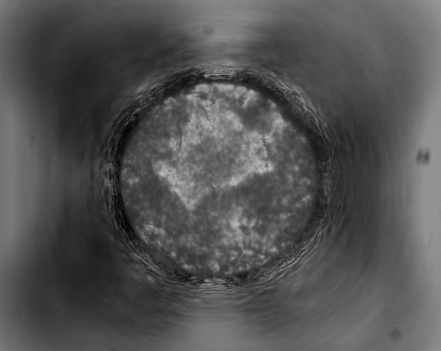 X0000103331445200810171413