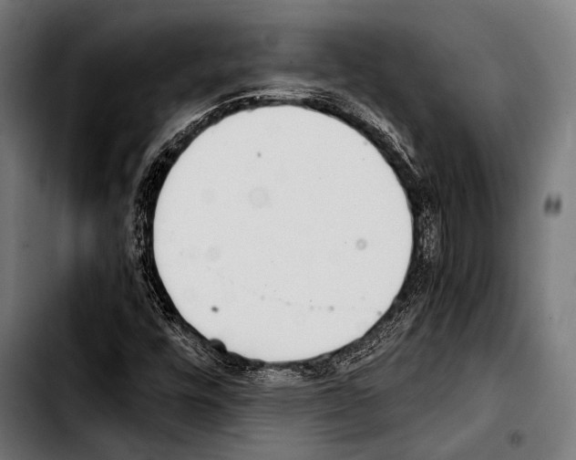 X0000103331448200810171413