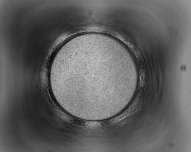 X0000103331454200810171413