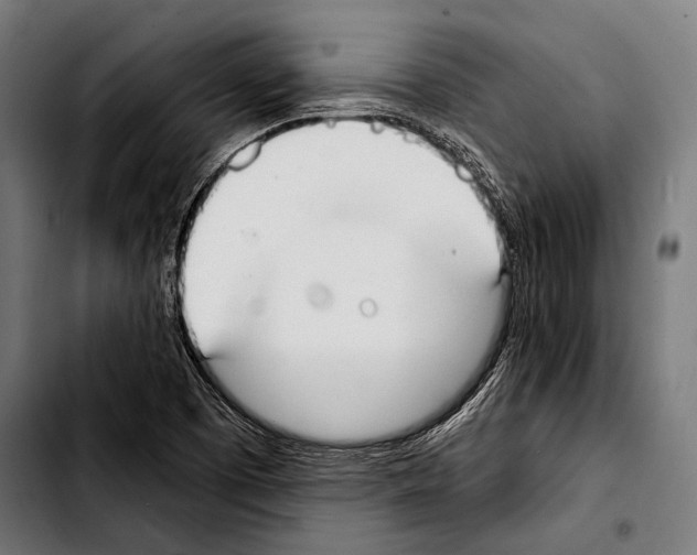 X0000103331457200810171413