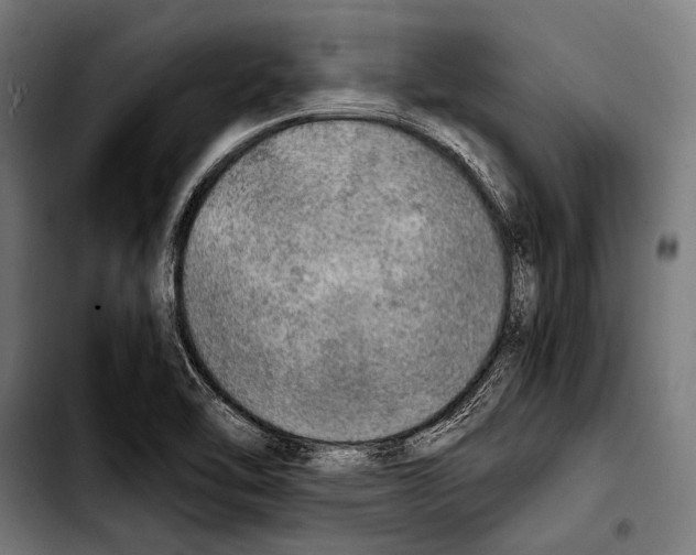 X0000103331462200810171413