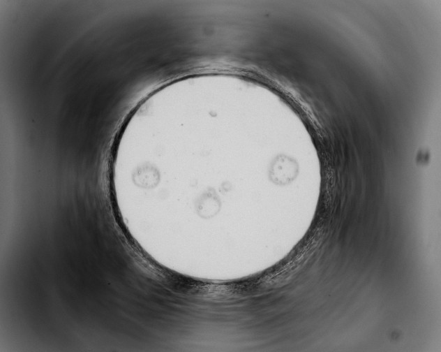 X0000103331463200810171413