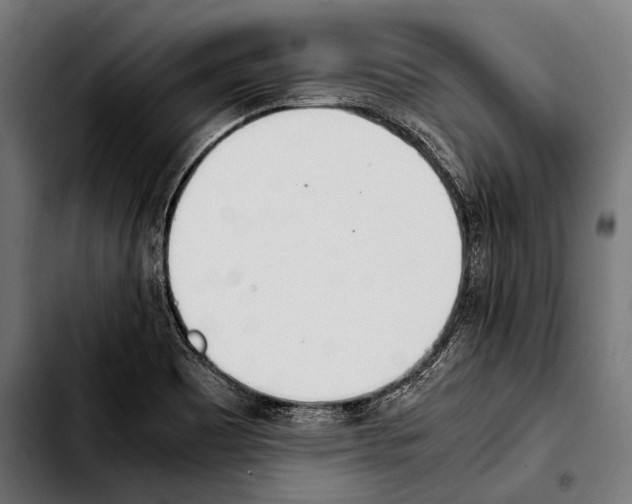 X0000103331465200810171413