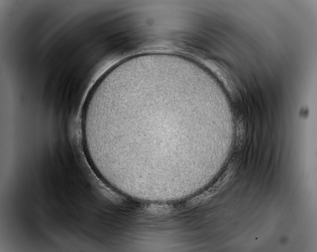 X0000103331466200810171413