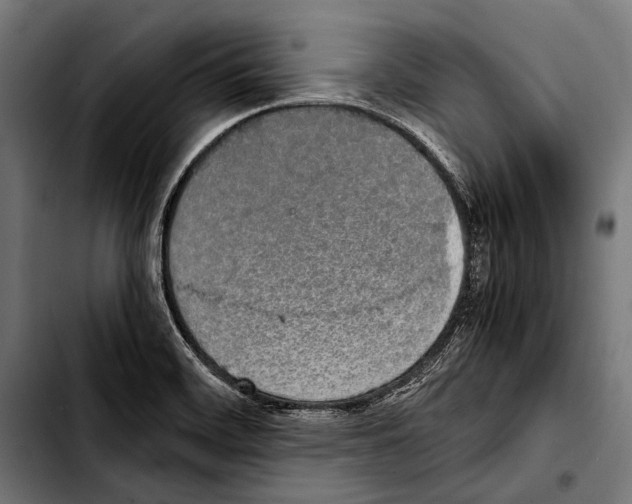 X0000103331468200810171413