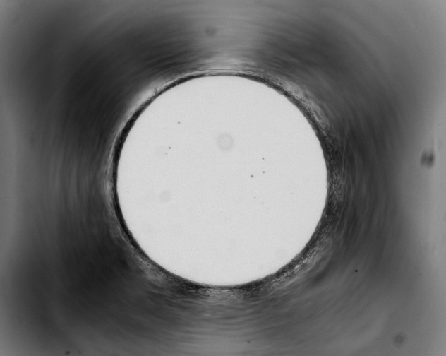 X0000103331469200810171413