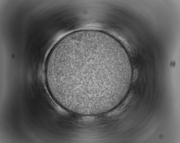 X0000103331470200810171413