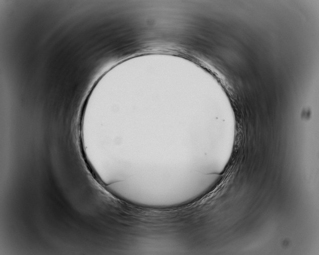 X0000103331471200810171413