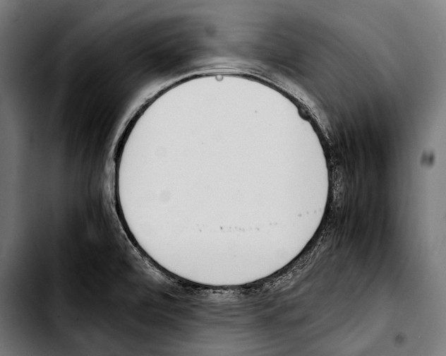 X0000103331472200810171413