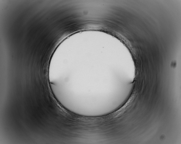 X0000103331473200810171413