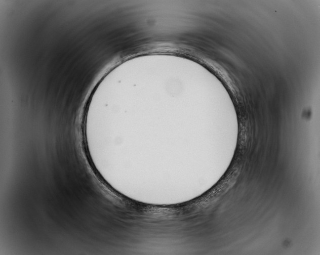 X0000103331475200810171413