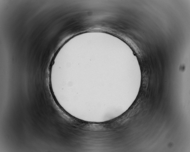 X0000103331476200810171413