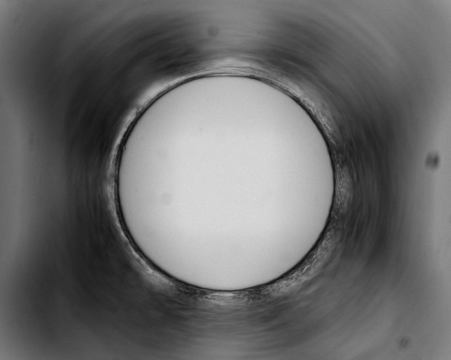 X0000103331478200810171413