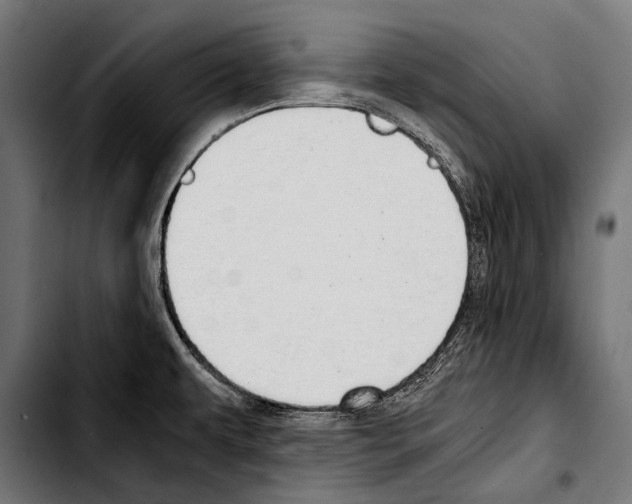 X0000103331479200810171413