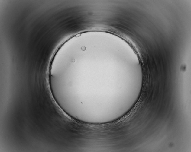 X0000103331480200810171413