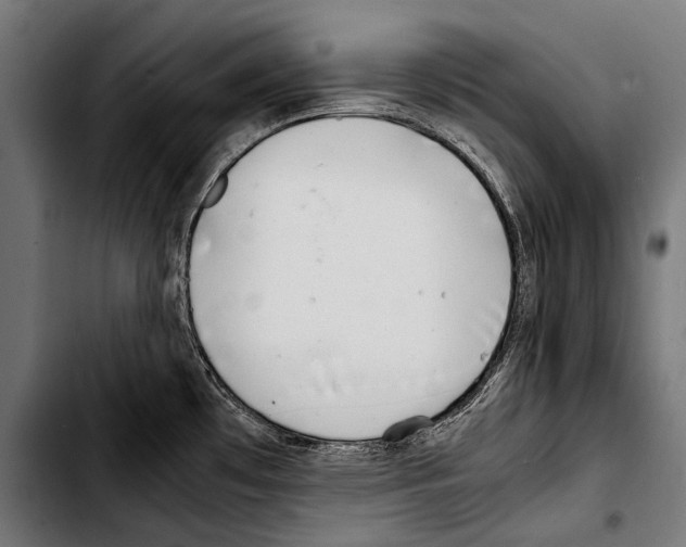 X0000103331481200810171413