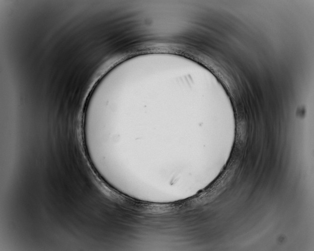 X0000103331482200810171413