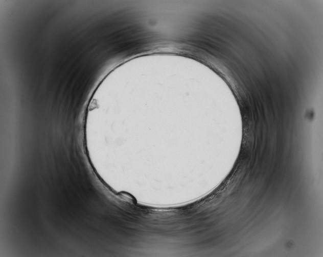 X0000103331483200810171413