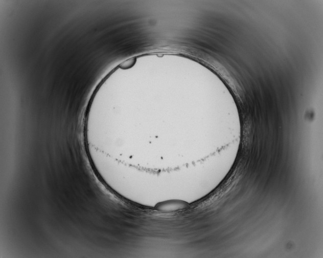 X0000103331484200810171413