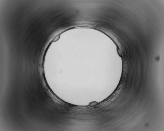 X0000103331485200810171413