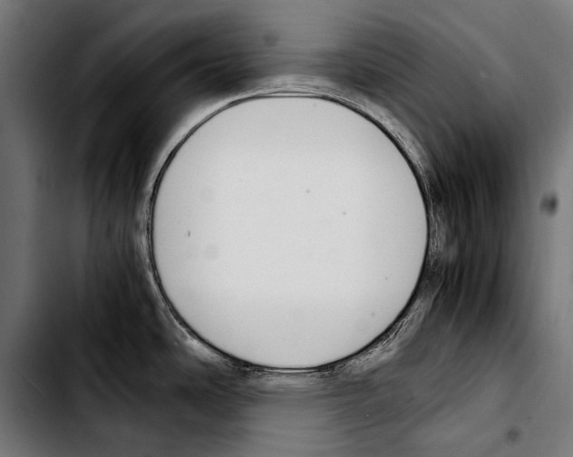 X0000103331486200810171413