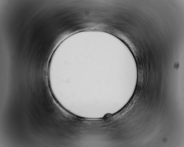 X0000103331487200810171413