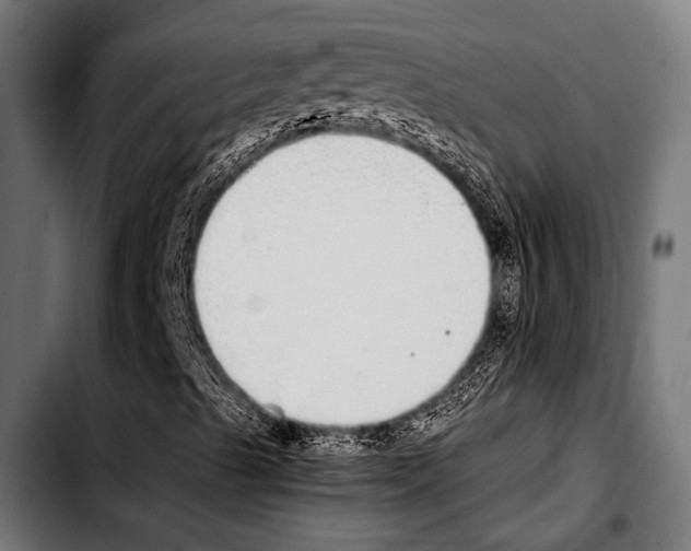 X0000103331489200810171412