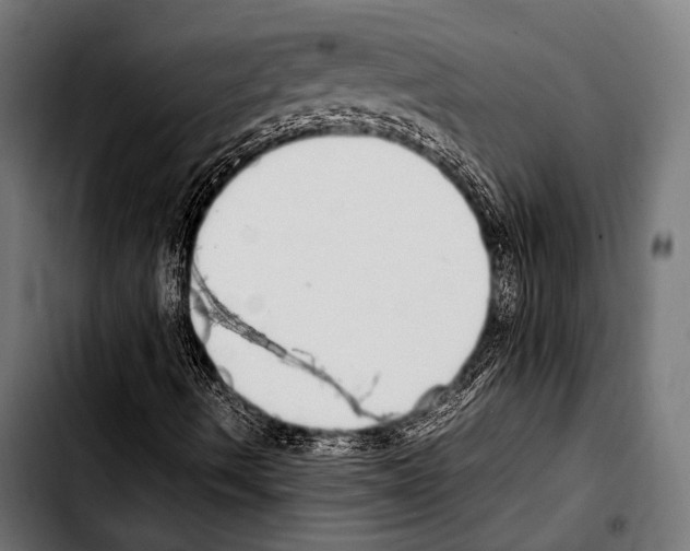 X0000103331490200810171412