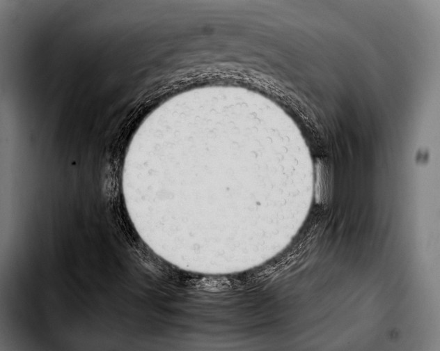 X0000103331491200810171412