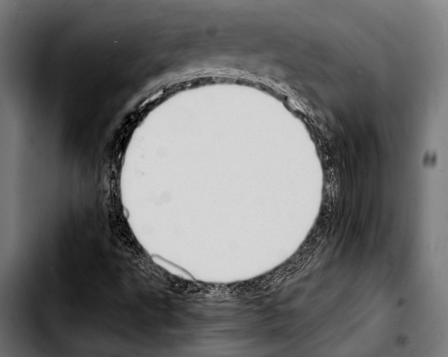 X0000103331495200810171412