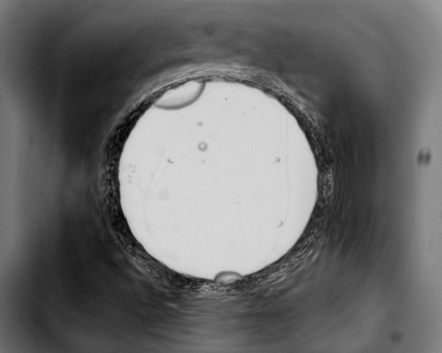 X0000103331496200810171412