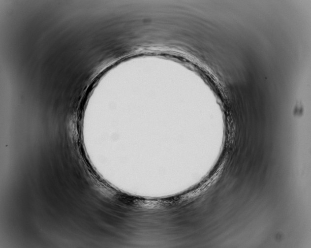 X0000103331497200810171412