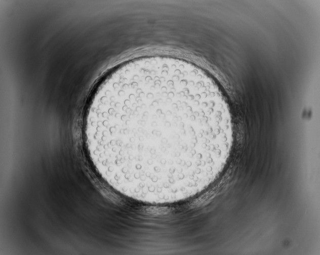 X0000103331499200810171412