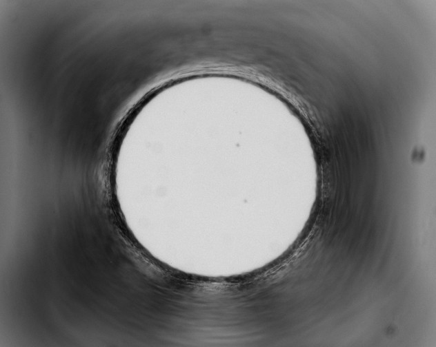 X0000103331502200810171412