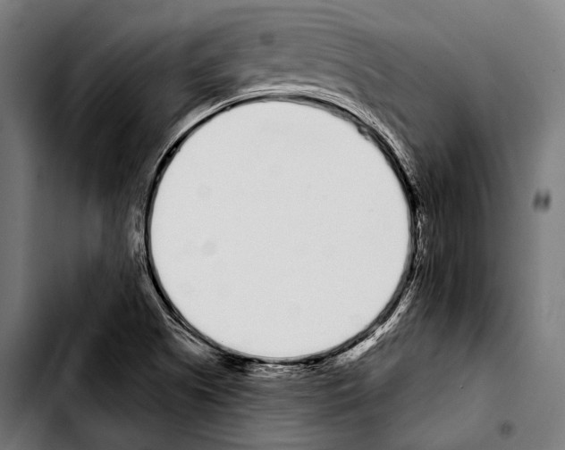 X0000103331505200810171412