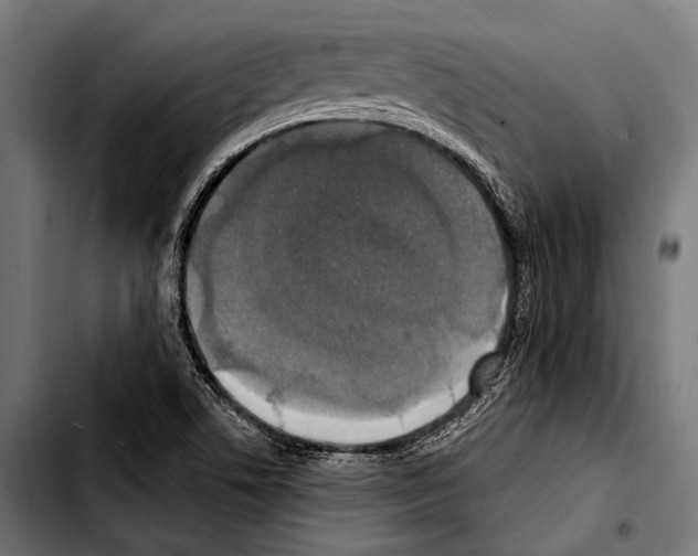 X0000103331506200810171412