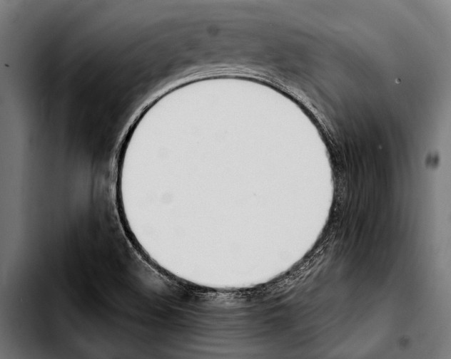 X0000103331508200810171412